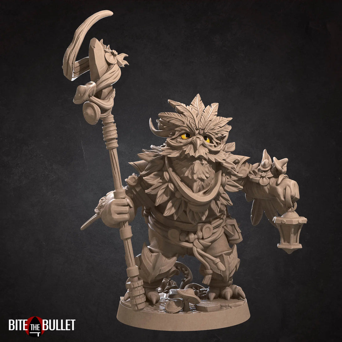 Owlfolk Druid | Bite the Bullet | 35mm Bite the BulletEin detailliertes Foto einer 3D-gedruckten Tabletop-Miniatur.  Die Figur steht in einer dynamischen Pose auf einem runden Sockel. Die Miniatur zeigt feine Details wie Verzierungen auf der Rüstung und einen entschlossenen Gesichtsausdruck. Die Oberfläche ist glatt und zeigt die Präzision des 3D-Drucks."